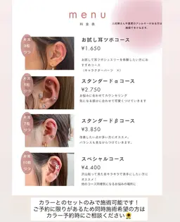 ワンカラー＋耳ツボジュエリー（両耳合わせて10粒）✨