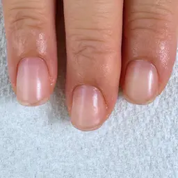 \11月限定✨/【練習モデル】自爪風マット仕上げ(クリア) 所要時間 約3.5時間