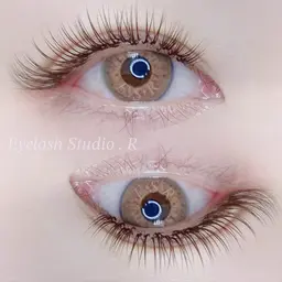 【12/9(火)14:30-の枠】 LEDダイアナラッシュ　スピード練習　※自まつ毛状態がフラットで130本装着できる方