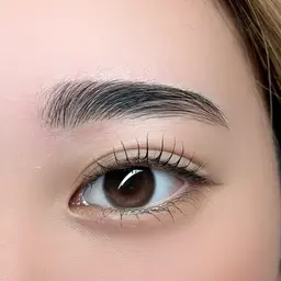 HBL ハリウッドブロウリフト 練習モデル✨ (女性のみ・二週間以上眉毛自己処理していない方🙇♀️)