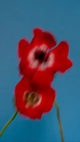 ✨ショートヘア