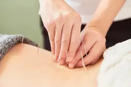 肩こり・腰痛にお悩みの方へ　痛みのための鍼灸ケア