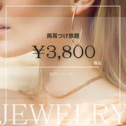 耳つぼジュエリー✩.*˚《両耳付け放題》