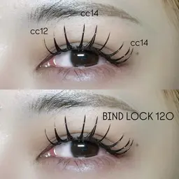 【当日限定✨】バインドロック80束🍁🧡