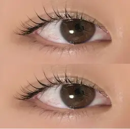 マツパ（上限定）