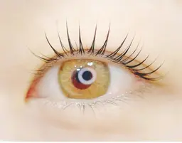 新規限定!!【自然で美しい♪ナチュラルにくるん♪】 まつ毛パーマ5500円→4500円