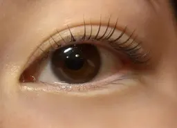 ラッシュリフト