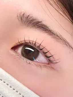 【12月限定】パリジェンヌラッシュリフト🫧 《アイシャンプー＆美容液コーティング込み》