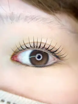 選べるまつ毛パーマ（お目元の撮影モデル募集！お写真・動画撮影にご協力いただける方の募集）
