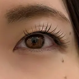 ⚠️新城市 デザインキープラッシュ・アイブロウ