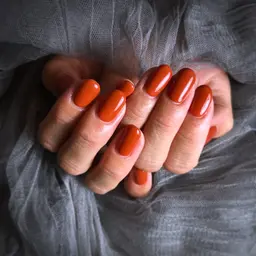 オーナー全部お任せデザインネイル💅今回は秋色ワンカラー🍁