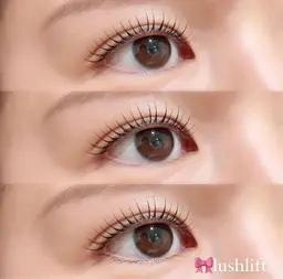 🎀新規🎀ラッシュリフトorパリジェンヌ