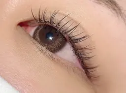 【モデル】ミンク100本