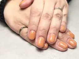 オフなし　ワンカラー