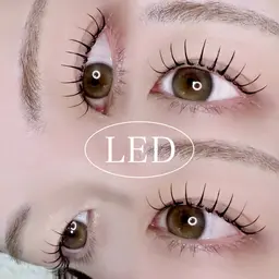 【オフ無料】LED☆アンドヘルシー 80本(アイシャンプー付き🫧)