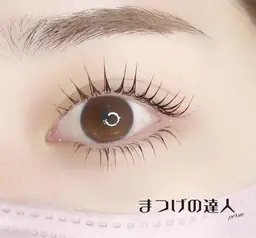 ラッシュリフト上下　上下のラッシュリフトで小顔効果も♪