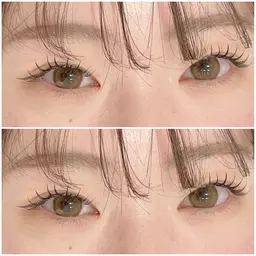 プレミアムカシミヤフラットラッシュ 100本【オフ込み】🌱