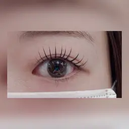 🤎パリエク80本(エクステ装着→パリジェンヌ)🤎