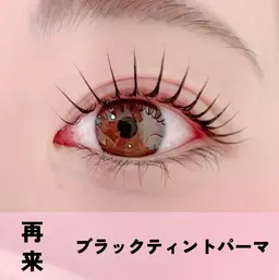 パリジェンヌラッシュリフト《Wケアトリートメント込》＋ティントパーマ(110分)
