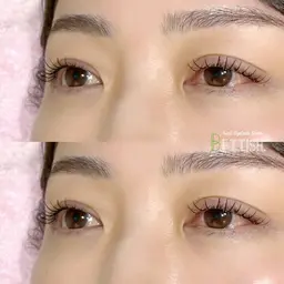 【リペアのみ❕】フラットラッシュお仕上がり100本まで✮*｡ﾟ(2ヶ月以内にパーマしてる方×）