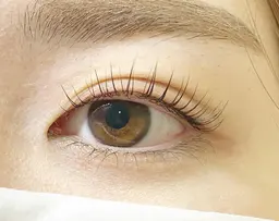 《ご新規様》パリジェンヌラッシュリフトorラッシュリフト