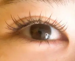 【新規限定】11月27、12月1、4、5日限定マツエク120本まで¥4,000