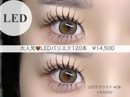 LEDアンドヘルシー120本💭圧倒的なもちで可愛さ長持ち