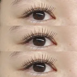 【人気No.1】もちよし!よれにくい!デザインキープラッシュ🪄スタンダード🌼(200〜240本まで)
