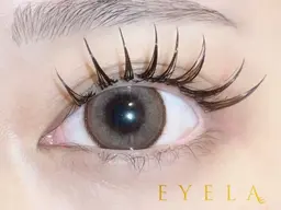 ⭐️バインドロックモデル⭐️ 60束 ／オフありの方💫