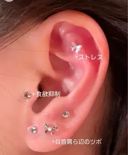 中町綾さんもおすすめ耳ツボジュエリー