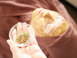 人気No.1！『オープン価格』次世代ハーブピーリング🌿剥離なし！ニキビ、シミ、シワ、毛穴、ほうれい線に✨10/31まで