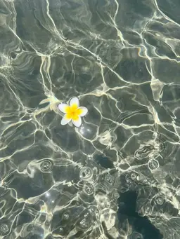 フットネイル（オフなし）🫧