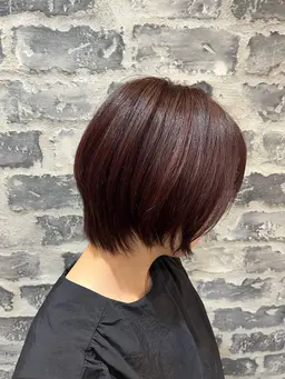 ショートシングルカラー🐈