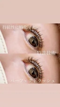 練習モデル　ダブルフラット（ボリューム）特許技術６０束（１２０本）