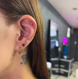 耳ツボジュエリー💎12粒