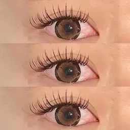 11月末限定価格 フラットラッシュ100本 ((ご新規様