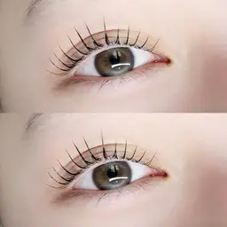 12月7日ご新規様限定✨パリジェンヌラッシュリフト💎