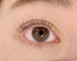 ［新規］パリジェンヌラッシュリフト