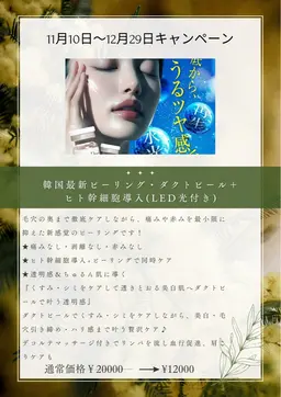 【年末キャンペーン】韓国最新ピーリング・ダクトピール+美容液導入(LED光付き)