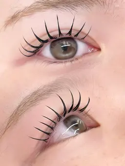 オープン前限定🎀フラットラッシュ120本まで(オフ込み)＊現金のみの