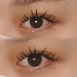 バインドロック 100束💋🖤＜シングル150本程のボリューム＞コーティング付き〔 土日祝+550円 〕