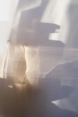 〖オフ無し〗フットワンカラー