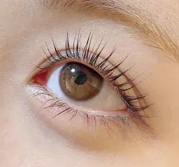 🤎パリジェンヌ&アイブロウWAX脱毛🤎(流行りのタレ目デザイン・メーテルロッド🙆🏻)