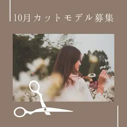 カットモデル