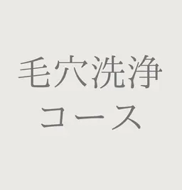【モニター価格】50%OFF❤️毛穴洗浄コース ❤️毛穴/皮脂過多（施術時間45分）