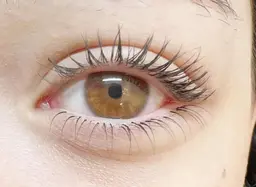 下まつ毛無料モデル様募集⭐️