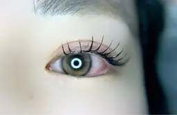 【リピーター様限定❣】高級セーブル《60本》付け足し¥2,700🧡※フラット変更プラス500円