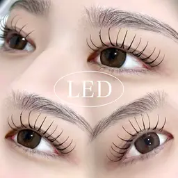 【オフ無料】LED☆パリエク80本（アイシャンプー付き🫧）