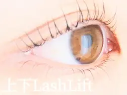 【上下ラッシュリフト】