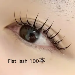 🌹LED【フラットラッシュ100本】